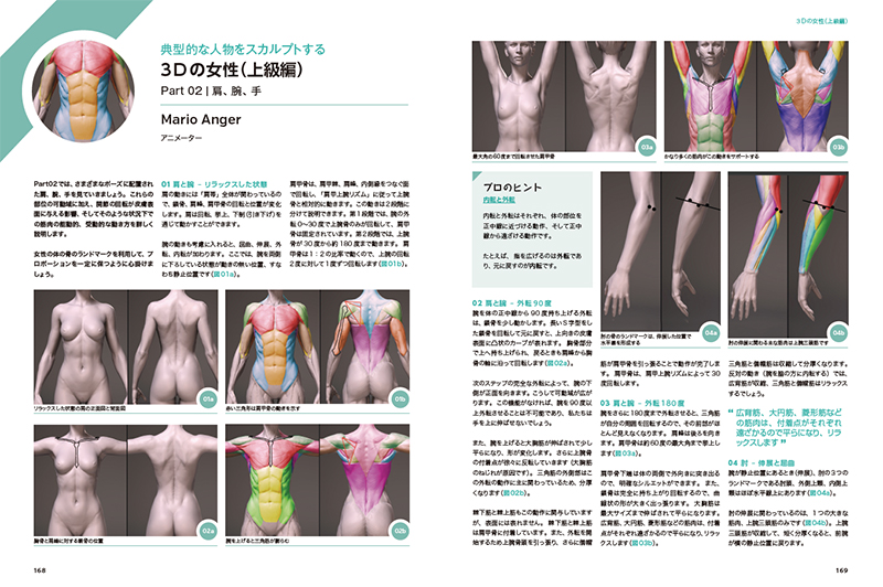 3Dアーティストのための人体解剖学 | 3dtotal 日本語オフィシャルサイト