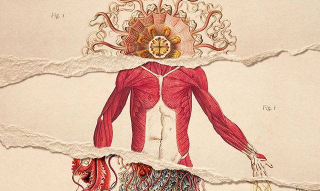 インスピレーション アーティストのアドバイス 自分の欠点を受け入れる 3dtotal 日本語オフィシャルサイト