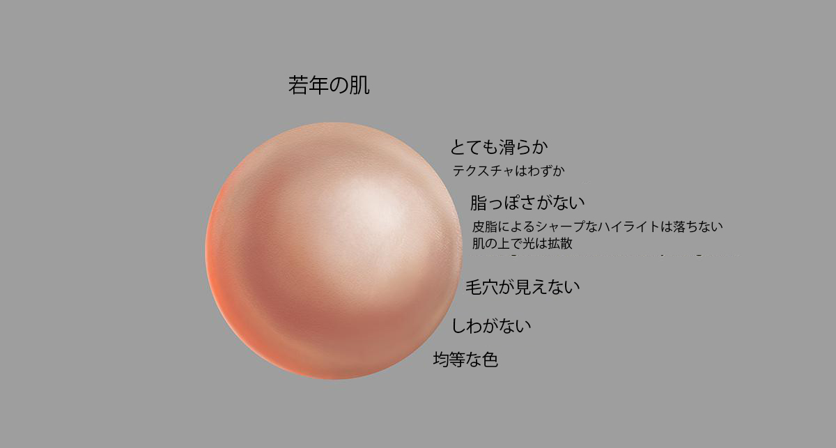 若年 中年 老年 肌の描き方のヒント 3dtotal 日本語オフィシャルサイト