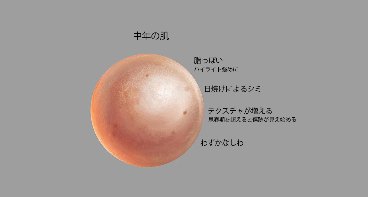 若年 中年 老年 肌の描き方のヒント 3dtotal 日本語オフィシャルサイト