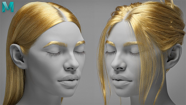 Maya 3dtotal 日本語オフィシャルサイト