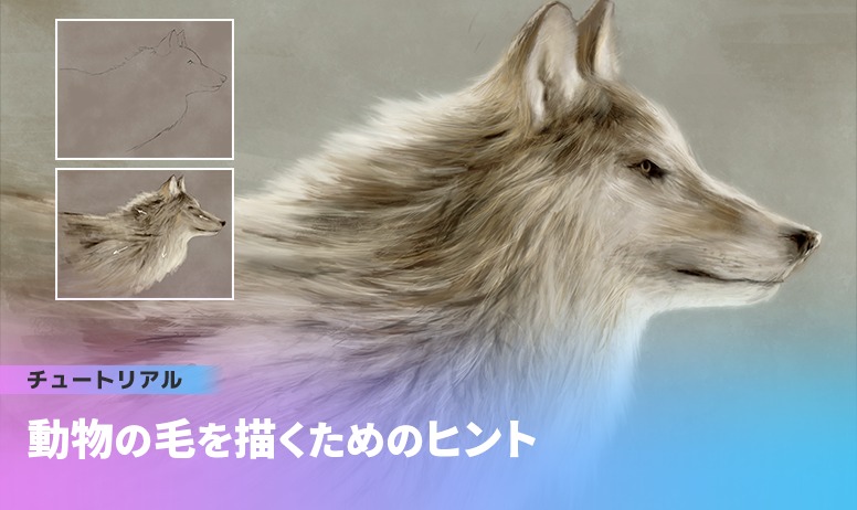 動物の毛を描くためのヒント 3dtotal 日本語オフィシャルサイト