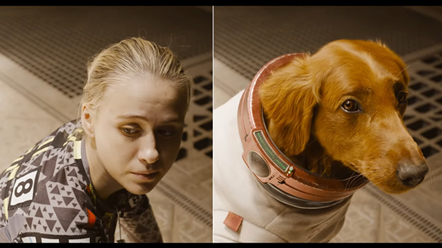 マーベル レジェンド ビルド コスモ ガーディアンズ オブギャラクシー 宇宙犬 マーベル レジェンド ビルド コスモ ガーディアンズ オブギャラクシー